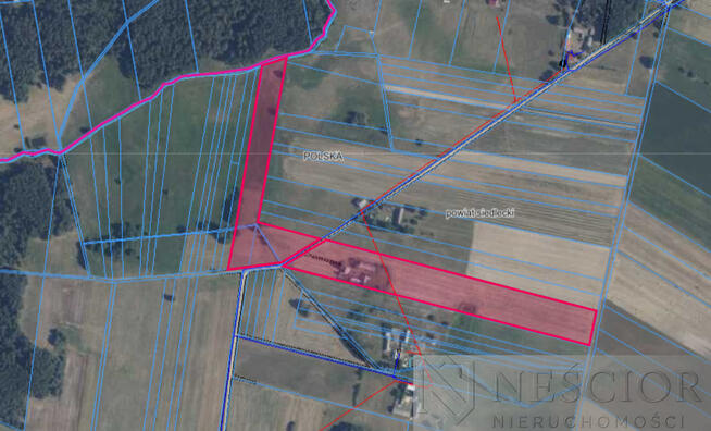 5,3 ha pod agroturystykę lub stadninę