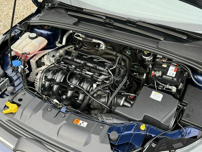 Ford Focus *zwykły silnik*rok gwarancji w cenie*bi-xenony*super stan*z Niemiec*
