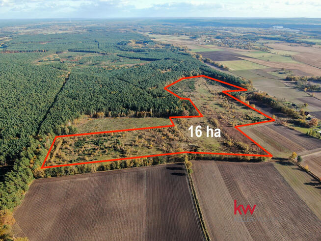 Działka rolna Borzynowo gm. Milicz,