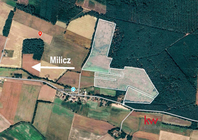 Działka rolna Borzynowo gm. Milicz,