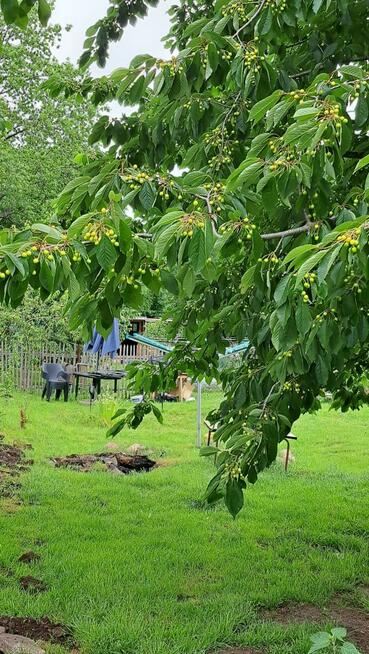 Mieszkanie Karczyn gm. Kondratowice,