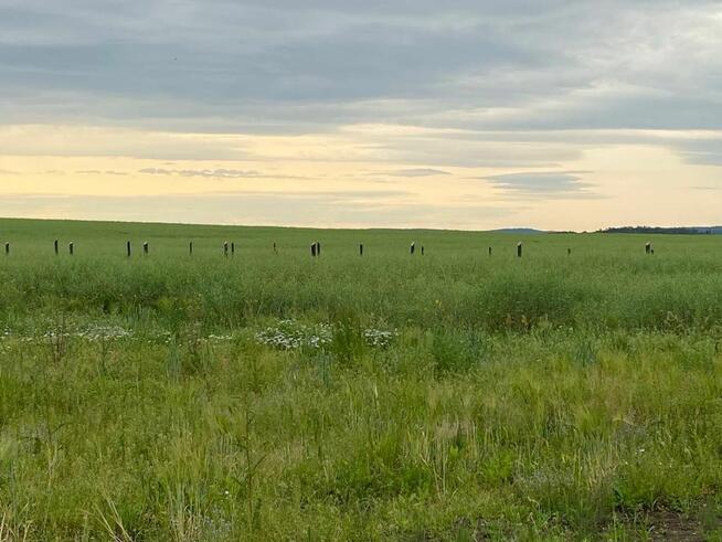 Działka budowlana Słupice gm. Łagiewniki,