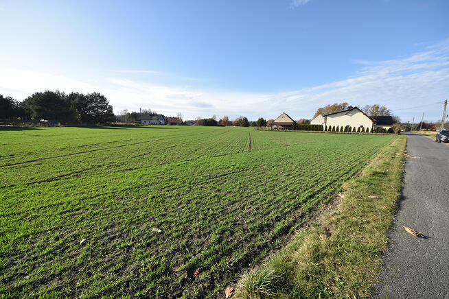 Duża działka budowlana 9051 m² – Turawa, Marszałki