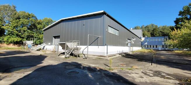 Syndyk sprzeda przedsiębiorstwo Organic, możliwa dzierżawa