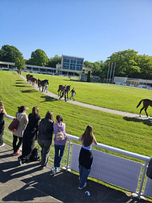Zapraszam fajnych ludzików ;-)