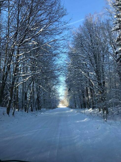 Tango libido... Pan dla Pani