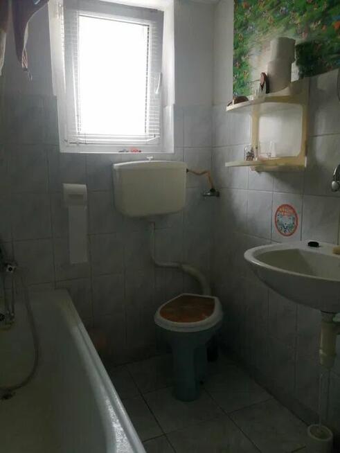 Cactus Przed zakupem sprawdz go w garażu samoobsługowym