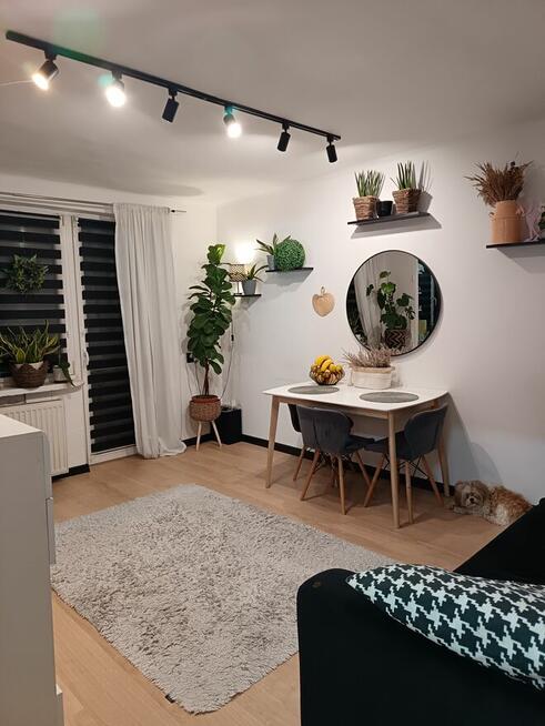 Mieszkanie 2pokoje, balkon 1wsze piętro.