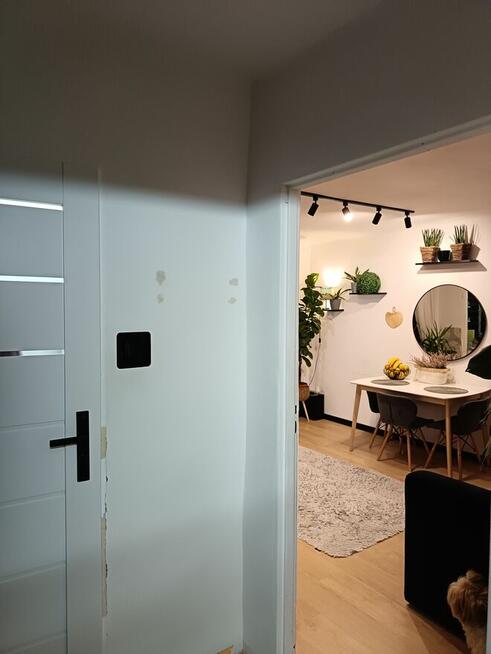 Mieszkanie 2pokoje, balkon 1wsze piętro.