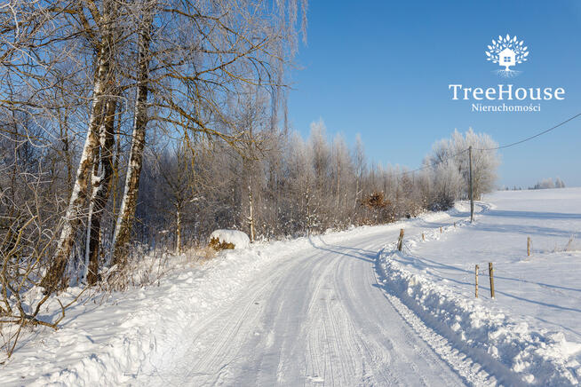 Działka rolna 4,93 ha - Dęby, gm. Górowo Iławeckie
