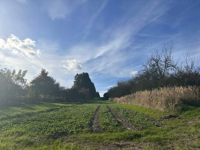 Działka budowlana Morawica gm. Liszki