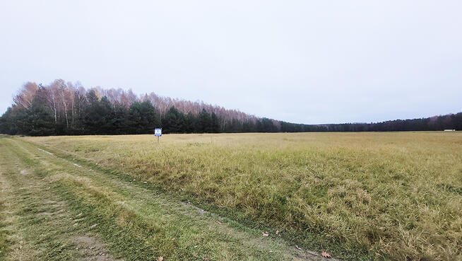 Malownicza działka 1,22 ha przy lesie – Radawie