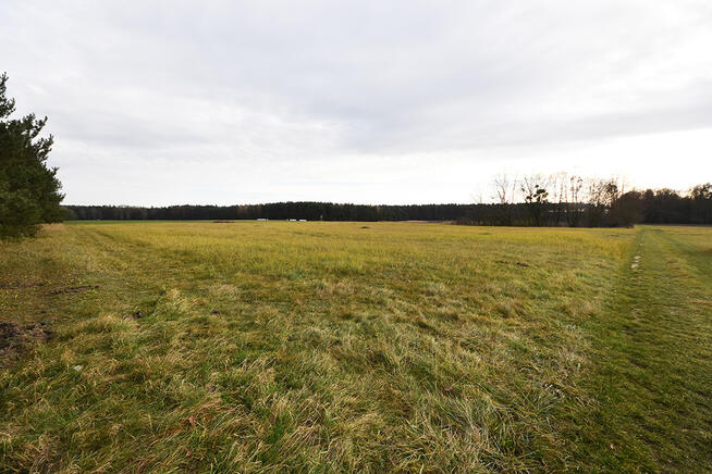 Malownicza działka 1,22 ha przy lesie – Radawie