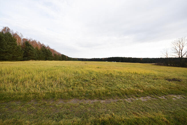 Malownicza działka 1,22 ha przy lesie – Radawie