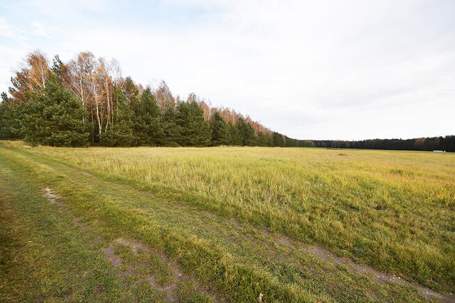 Malownicza działka 1,22 ha przy lesie – Radawie
