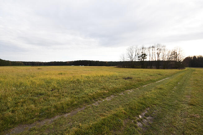 Malownicza działka 1,22 ha przy lesie – Radawie