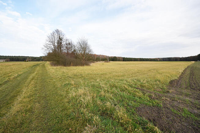 Malownicza działka 1,22 ha przy lesie – Radawie