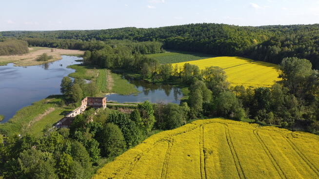 Działka inwestycyjna 35 ha w Celejowie /Wąwolnica