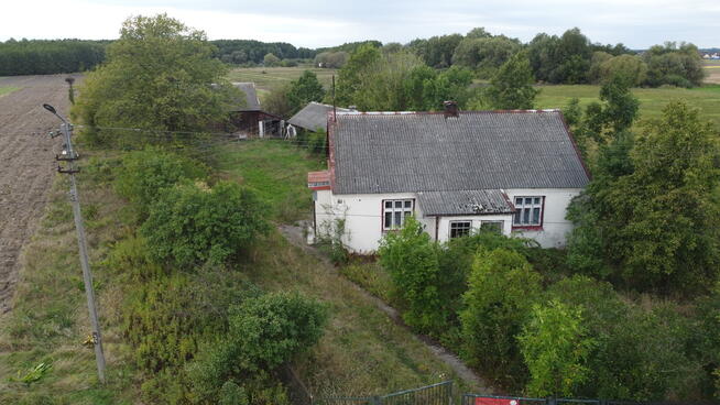 Siedlisko na dużej działce w Dobrucie gm. Orońsko.