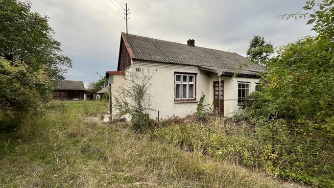 Siedlisko na dużej działce w Dobrucie gm. Orońsko.