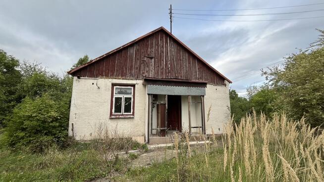 Siedlisko na dużej działce w Dobrucie gm. Orońsko.