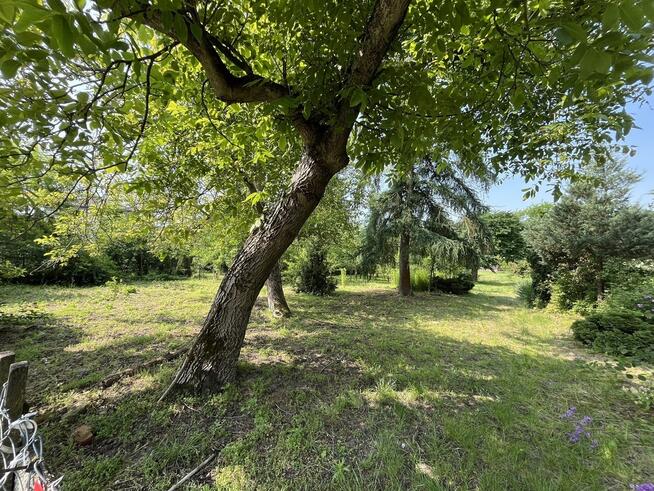 Działka 0,21 ha w Kaliszanach Kolonii gm. Józefów.