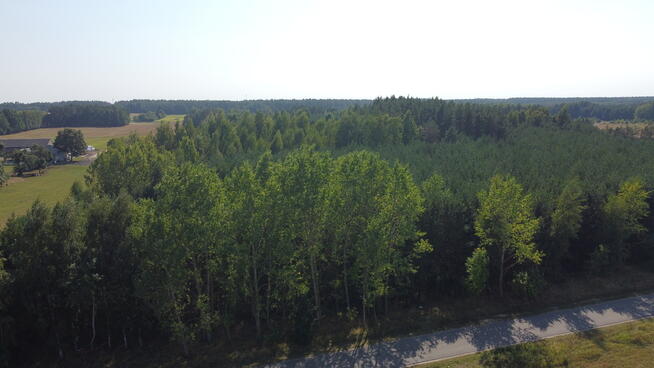 Dom na dużej działce w Świesielicach gm. Ciepielów