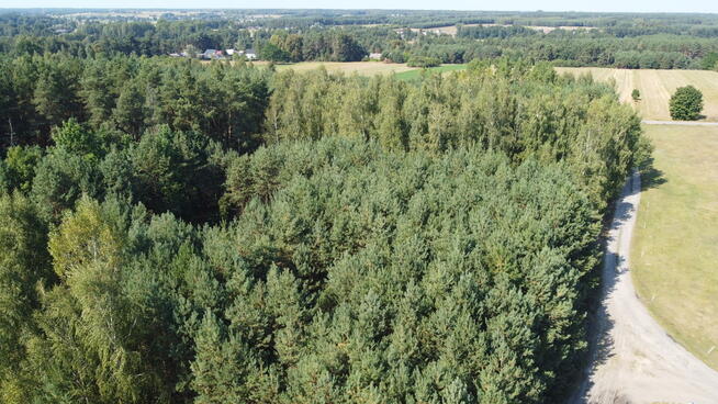Dom na dużej działce w Świesielicach gm. Ciepielów
