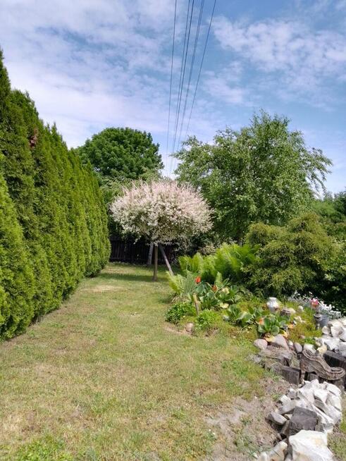 Siedlisko 44 a w Ożarowie gm. Jastków (lubelskie).