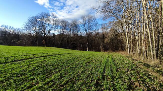 Działka Gościno, Bociania