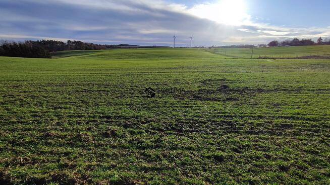 Działka Ząbrowo gm. Gościno, Polna