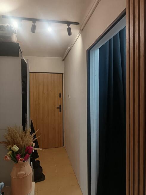 Mieszkanie 2pokoje, balkon 1wsze piętro.