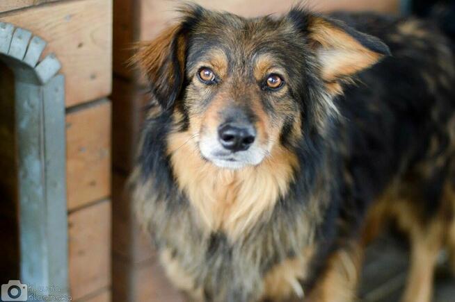 Wyjątkowy Robin szuka wyjątkowego domu