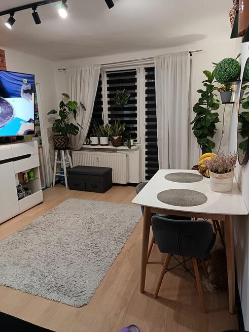 Mieszkanie 2pokoje, balkon 1wsze piętro.