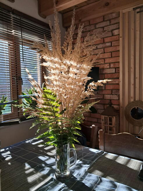 Domek letniskowy w lesie Sosenka Hutki Roztocze - Krasnobród