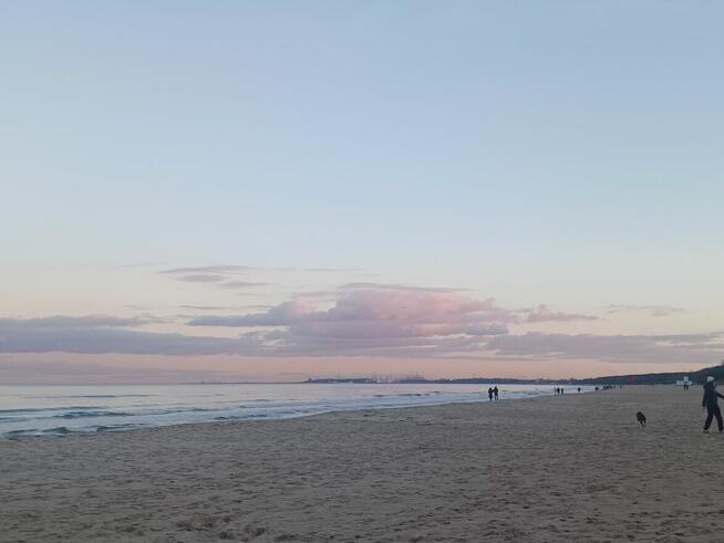 Poznam miłość .Facet 60 plus.