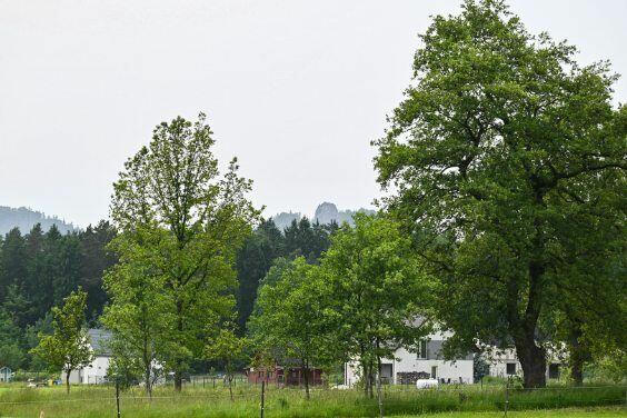 Działka budowlana z widokiem na góry