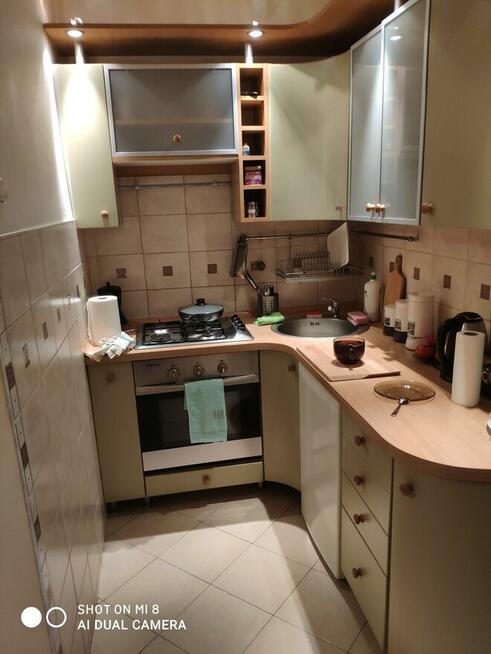 kawalerka do wynajecia