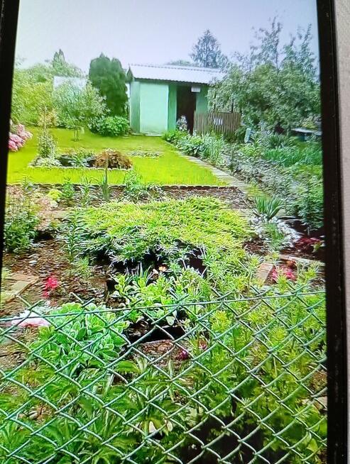 Sprzedam działkę rod