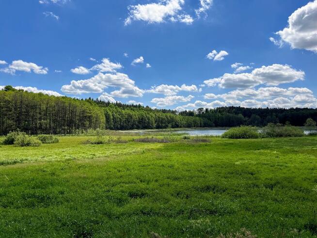 Działka budowlana z linią brzegową | Mazury | 1,5 h - 2 h od