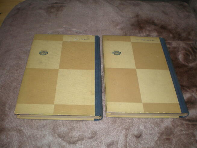 Sprzedam książki Teorie debiutów