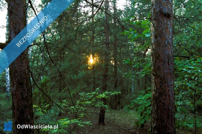 7810m2/działka bud. 4965m2/2845m2LAS