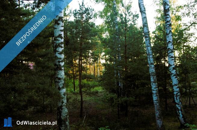 7810m2/działka bud. 4965m2/2845m2LAS