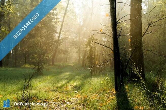 7810m2/działka bud. 4965m2/2845m2LAS