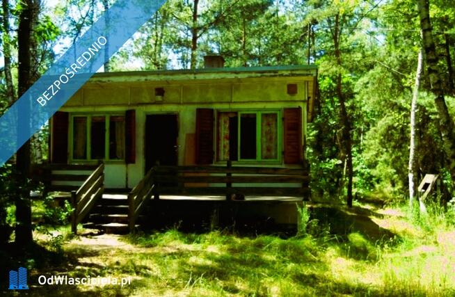 7810m2/działka bud. 4965m2/2845m2LAS