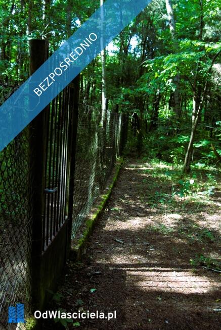 7810m2/działka bud. 4965m2/2845m2LAS