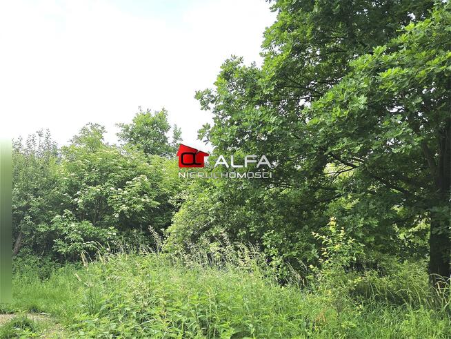 Działka budowlana Mrowiny gm. Żarów