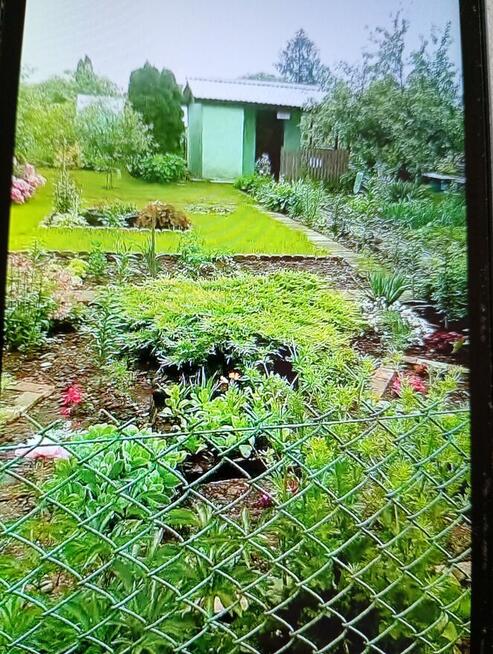 Sprzedam działkę rod