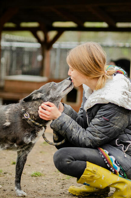 Hektor - dziadeczek wyrwany z piekła, pomocy!