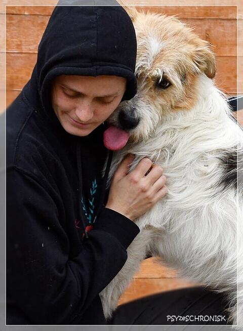 Pompo – przyjaciel całej rodziny poleca się do adopcji